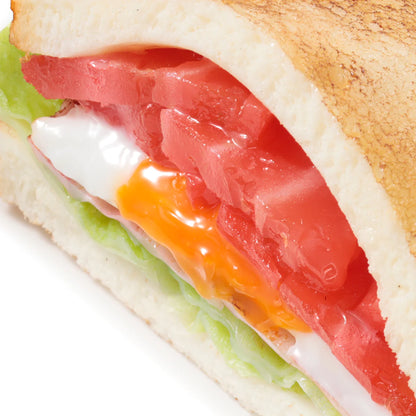 Fake Food / Toasted Sandwich