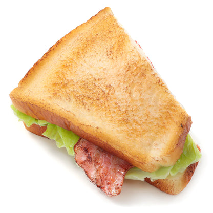 Fake Food / Toasted Sandwich