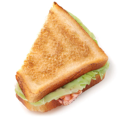 Fake Food / Toasted Sandwich