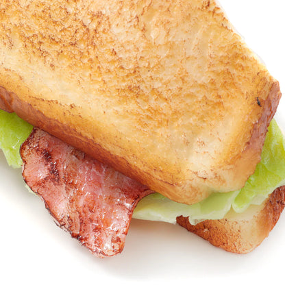 Fake Food / Toasted Sandwich