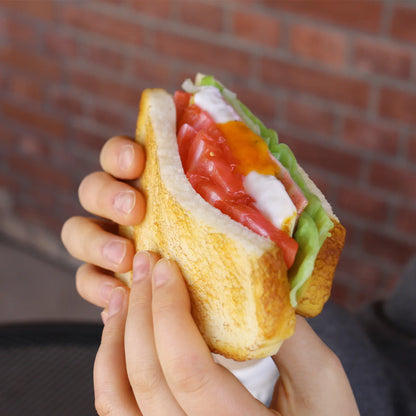 Fake Food / Toasted Sandwich