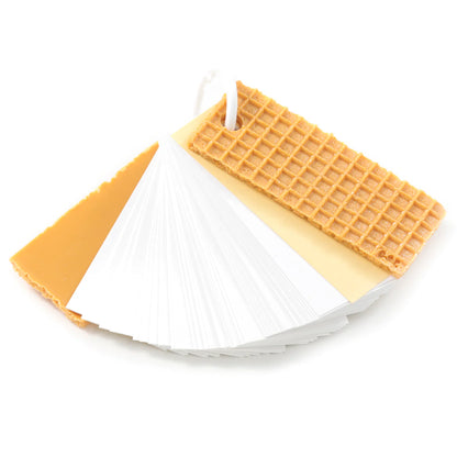 Fake Food / Wafer / Flashcards