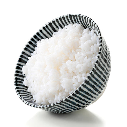 Fake Food / White Rice