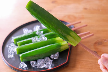 Fake Food / Whole Pickled Cucumber Pencil Cap