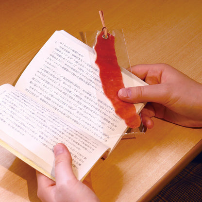 Fake Food / Apple Peel / Bookmark