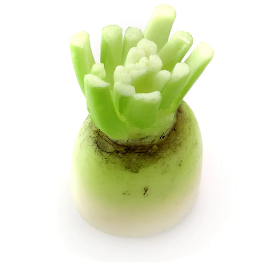 Fake Food / Japanese Radish / Pen Stand