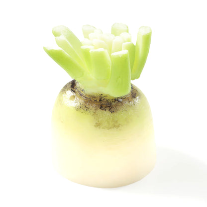 Fake Food / Japanese Radish / Pen Stand