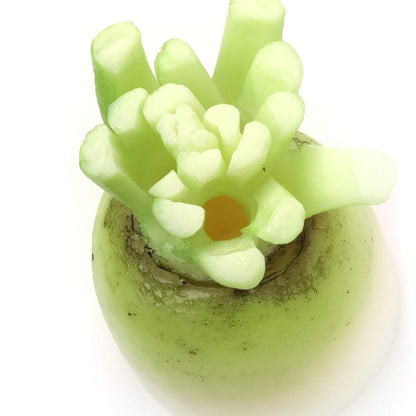 Fake Food / Japanese Radish / Pen Stand