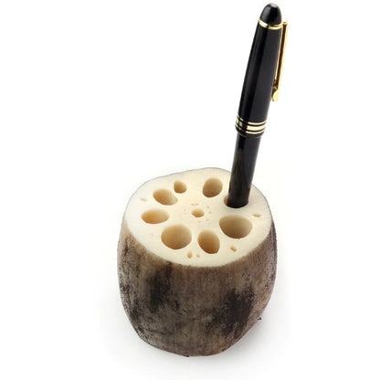 Fake Food / Lotus Root / Pen Stand