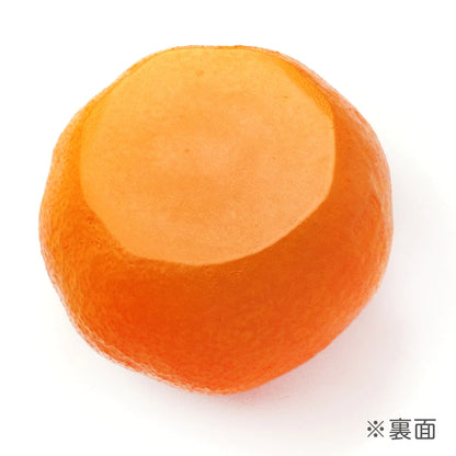 Fake Food / Mandarin Orange / Pen Stand
