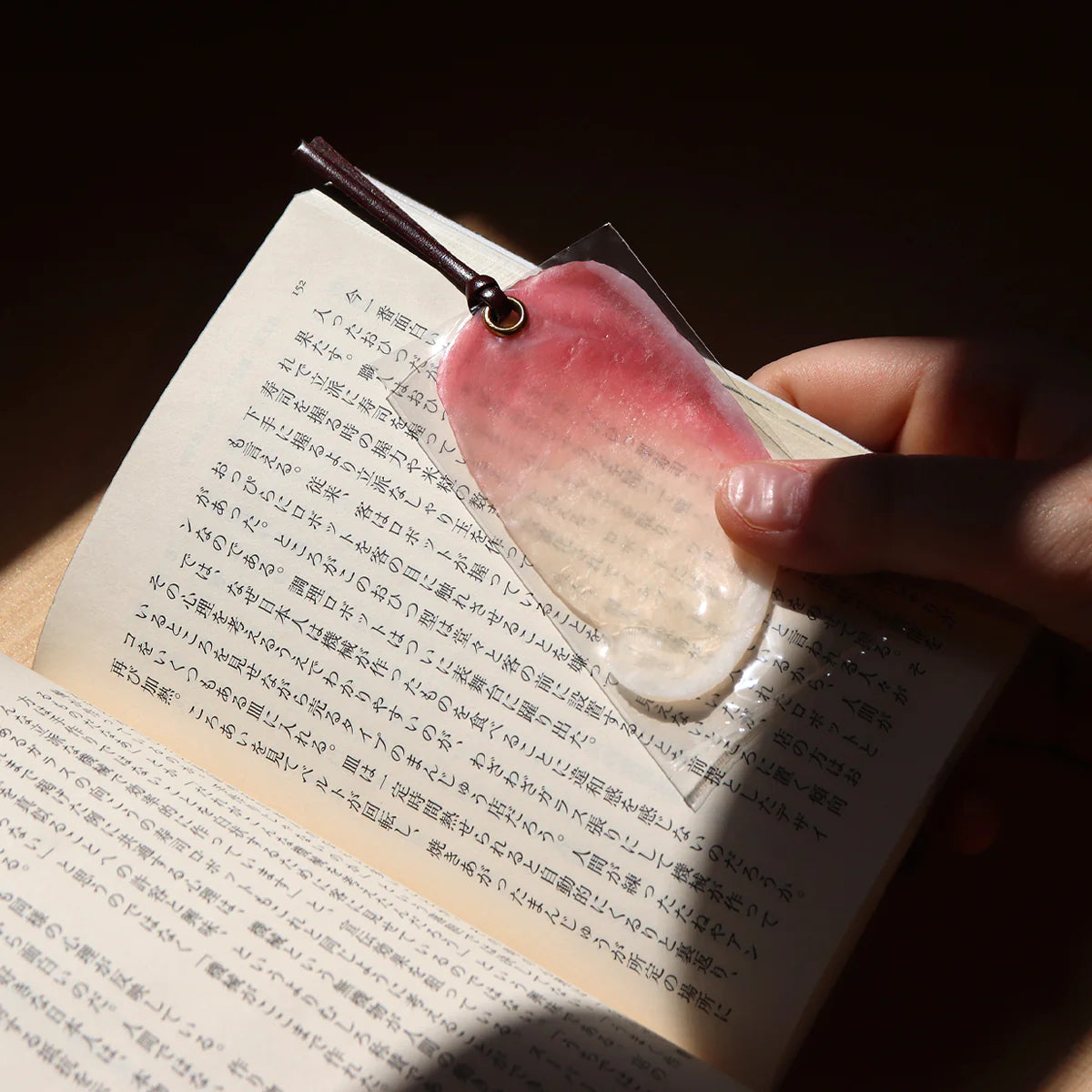 Fake Food / Prosciutto / Bookmark