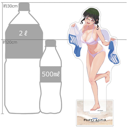 Gridman Universe Original Illustration Swimsuit Extra-Large Acrylic Stand The 2nd - Key-th