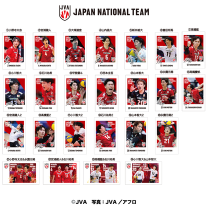 Heart Charapotre Volleyball Men's Japan National Team -2-