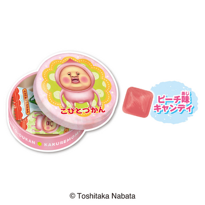 Heart PuchiCan Kobito Zukan
