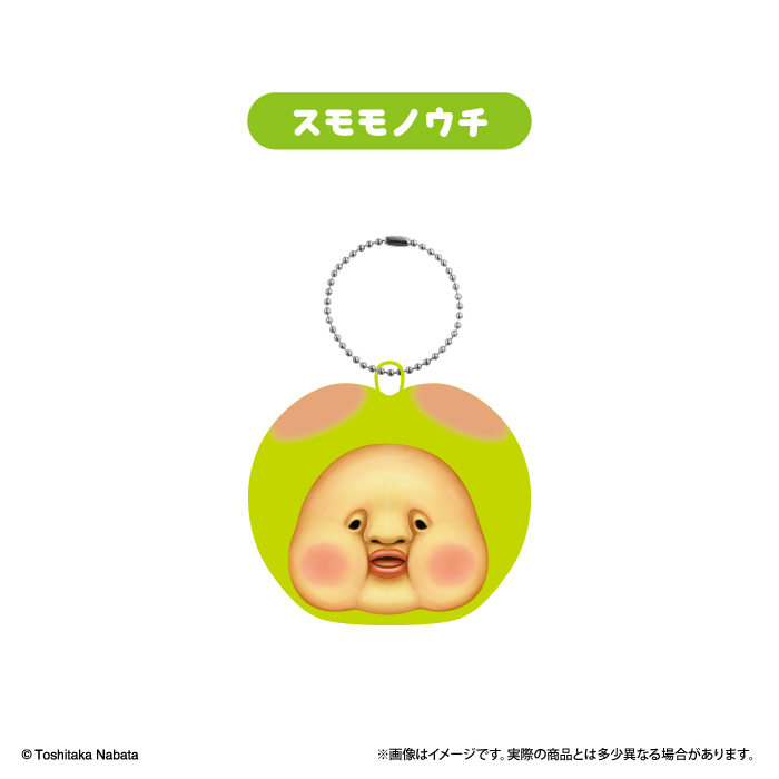 Korokoro Village Kobito-zukan Cushion Keychain 2 - F-TOYS