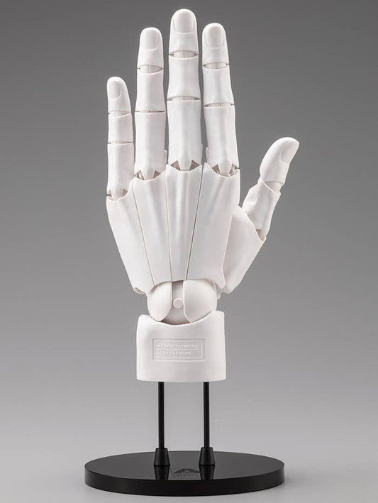 Kotobukiya ARTIST SUPPORT ITEM HAND MODEL MEN'S/L -WHITE-(Figure)