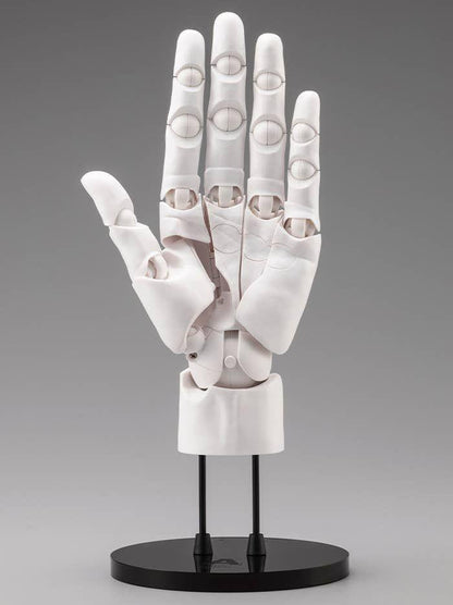 Kotobukiya ARTIST SUPPORT ITEM HAND MODEL MEN`S/L -WHITE-(Figure)