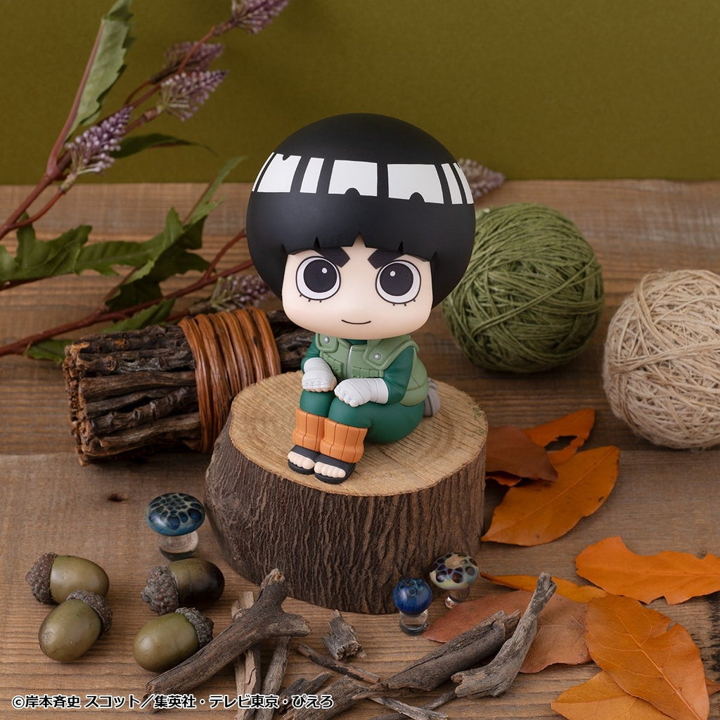 Lookup NARUTO SHIPPUDEN Rock Lee - MegaHouse