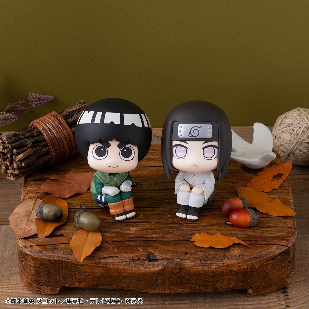 Lookup NARUTO SHIPPUDEN Rock Lee - MegaHouse