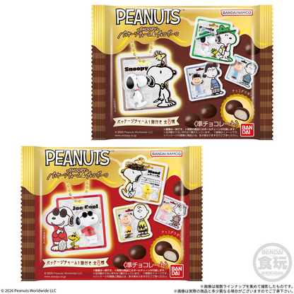 PEANUTS -SNOOPY- Package Charm & Choco Bolo (SNOOPY) - BANDAI Candy