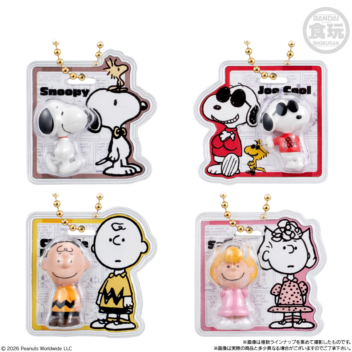 PEANUTS -SNOOPY- Package Charm & Choco Bolo (SNOOPY) - BANDAI Candy