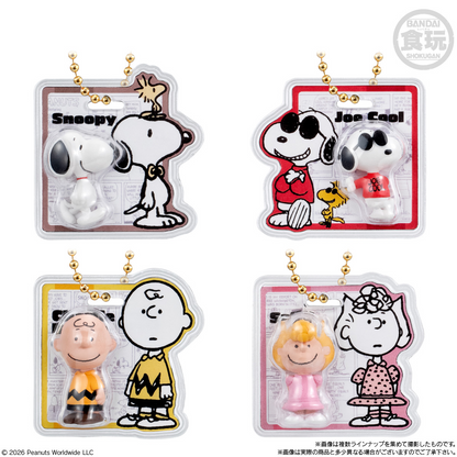 PEANUTS -SNOOPY- Package Charm & Choco Bolo (SNOOPY) - BANDAI Candy