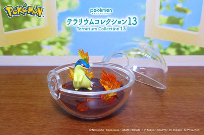 Re-Ment Pokemon Terrarium Collection 13 (Pokemon)