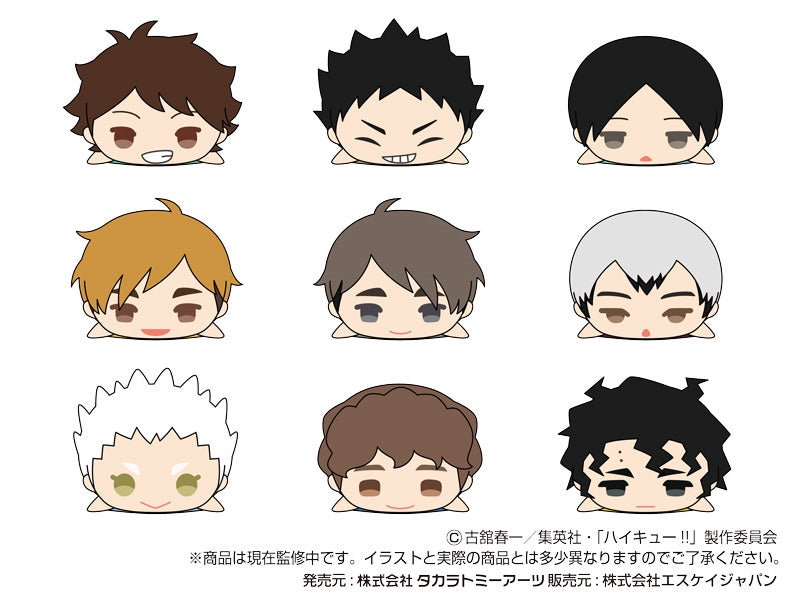 SK JAPAN Mochi Mochi Mascot WA Haikyuu! ! vol.2 (Haikyu!!)